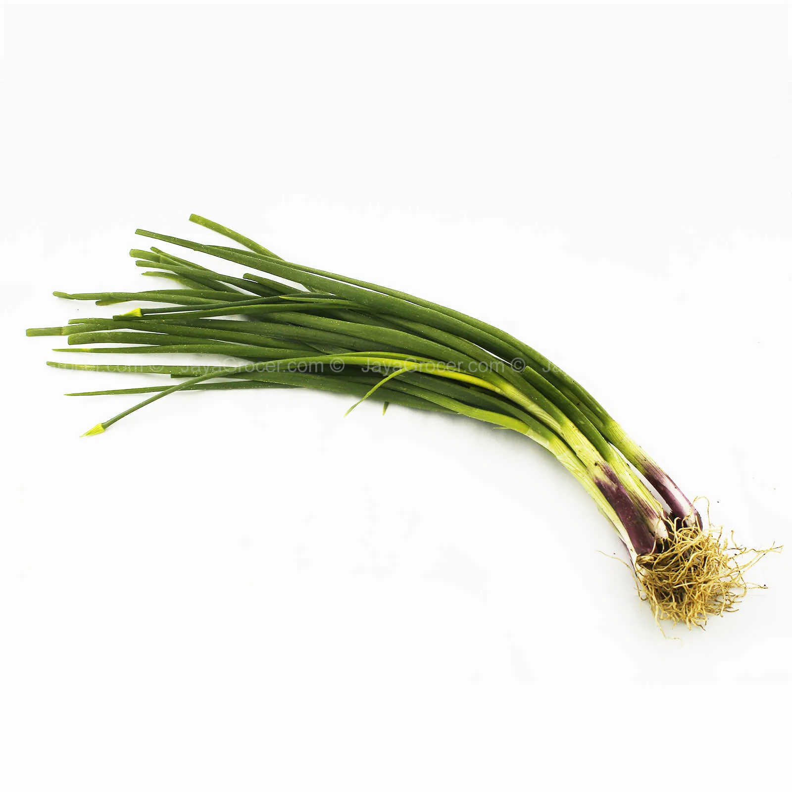 Spring Onions